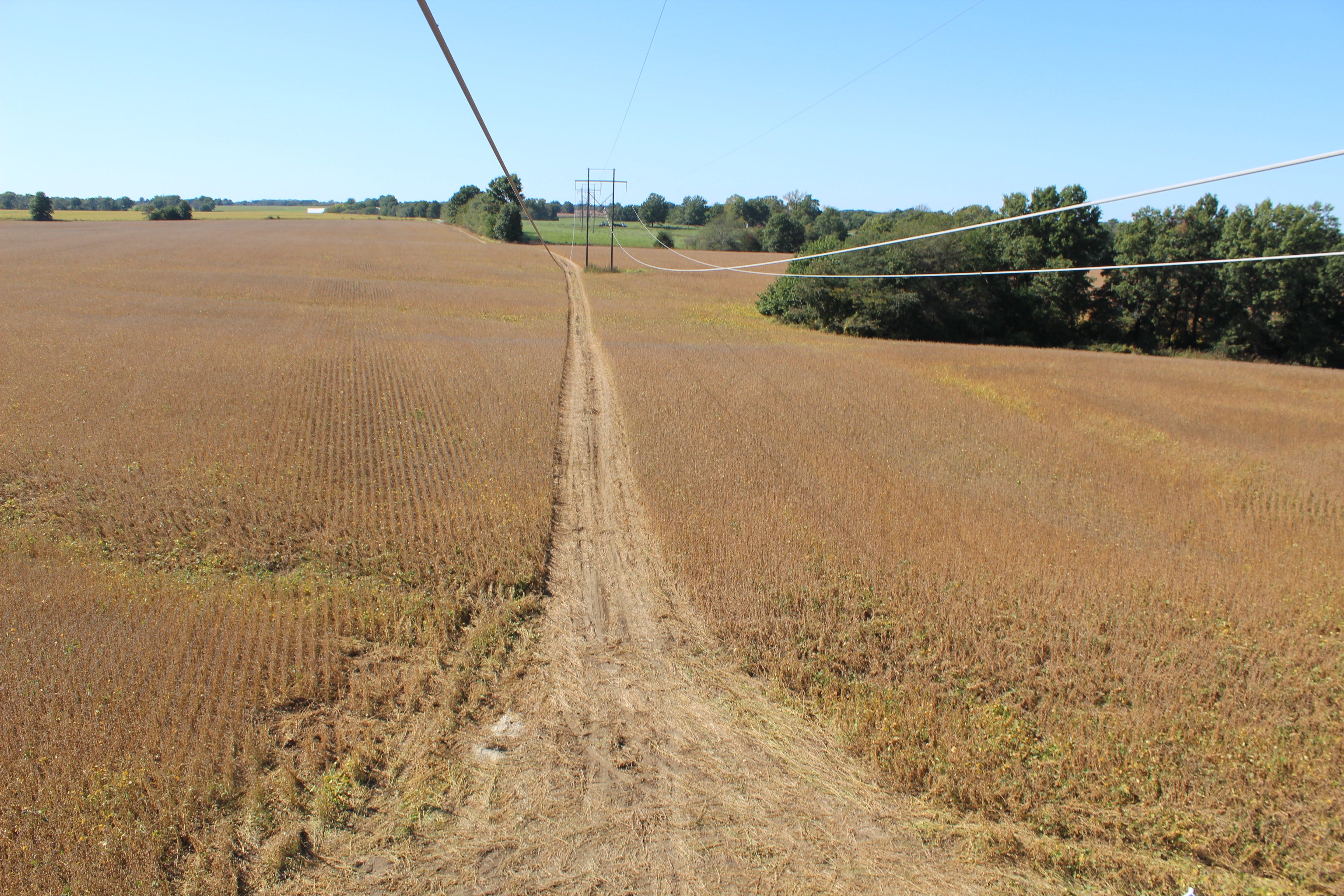 pole and wire in field